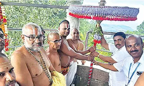 Divine umbrella festival held