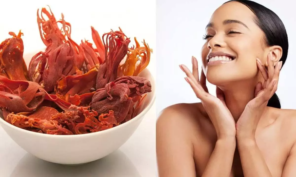 Javitri for Skin: Overlooked Benefits of Mace for Acne and Beyond Javitri for Skin: Overlooked Benefits of Mace for Acne and Beyond