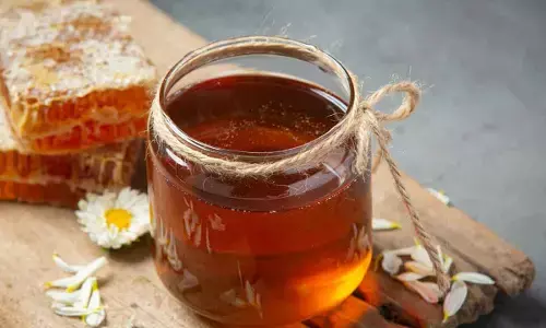 Why Honey Is the Monsoon Remedy Your Body Has Been Waiting For