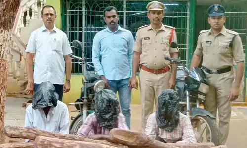 3 smugglers held; 24 red sanders logs seized