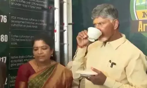 CM Chandrababu visits Alluri Seetharamaraju district, talks with coffee growers