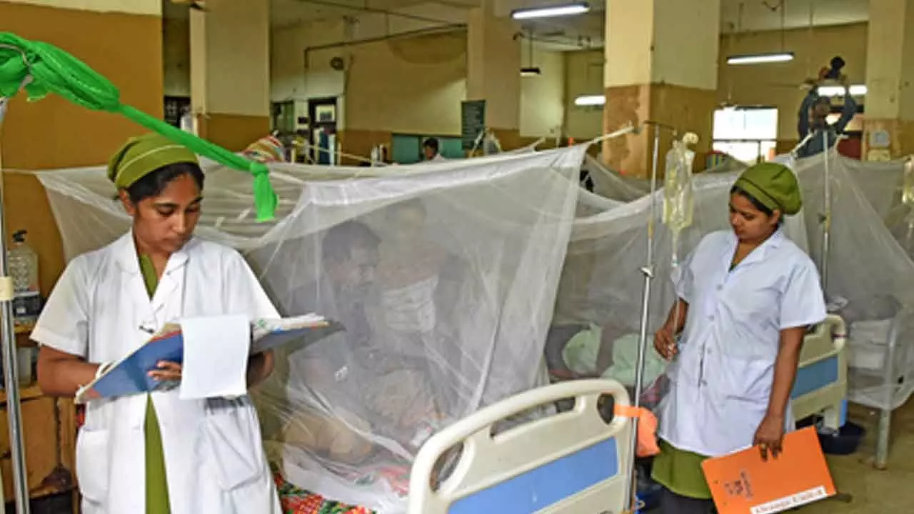 Bangladesh: Three more people die due to dengue, 2025 death toll crosses 100 Bangladesh: Three more people die due to dengue, 2025 death toll crosses 100