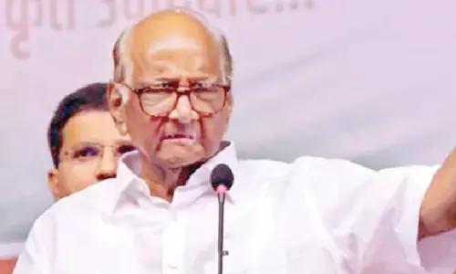 Pawar says he was offered 160-seat win