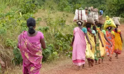 District admin strives for welfare of tribals: DRO