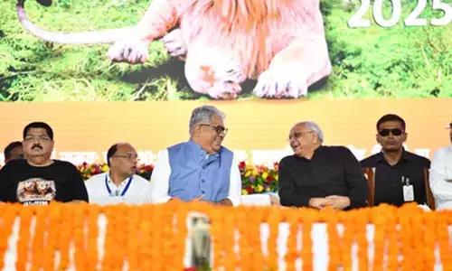 PM Modis vision helped increase lion population to 891: Environment Minister