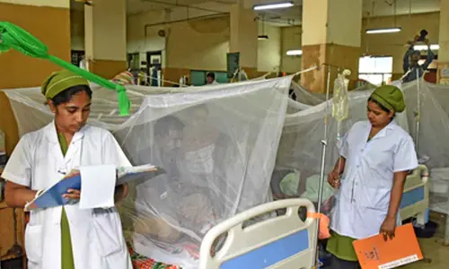 Bangladesh: Three more people die due to dengue, 2025 death toll crosses 100