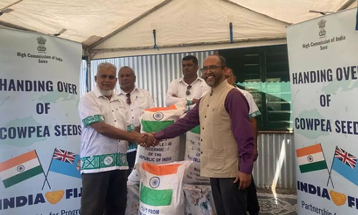 India hands over 5 metric tonnes of black-eyed Cowpea seeds to Fiji for agricultural aid India hands over 5 metric tonnes of black-eyed Cowpea seeds to Fiji for agricultural aid