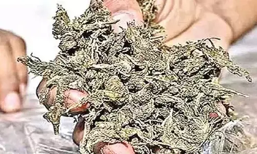 7 arrested in Mangaluru drug peddling crackdown