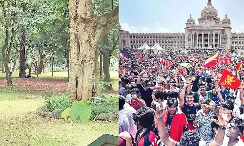 Cubbon Park Association moves HC over damages