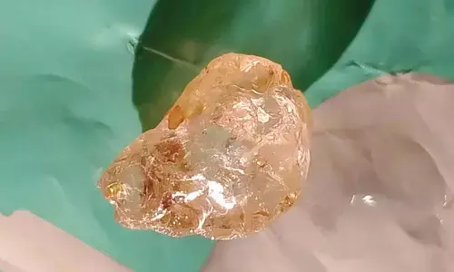 52-carat diamond reportedly found in Paritala
