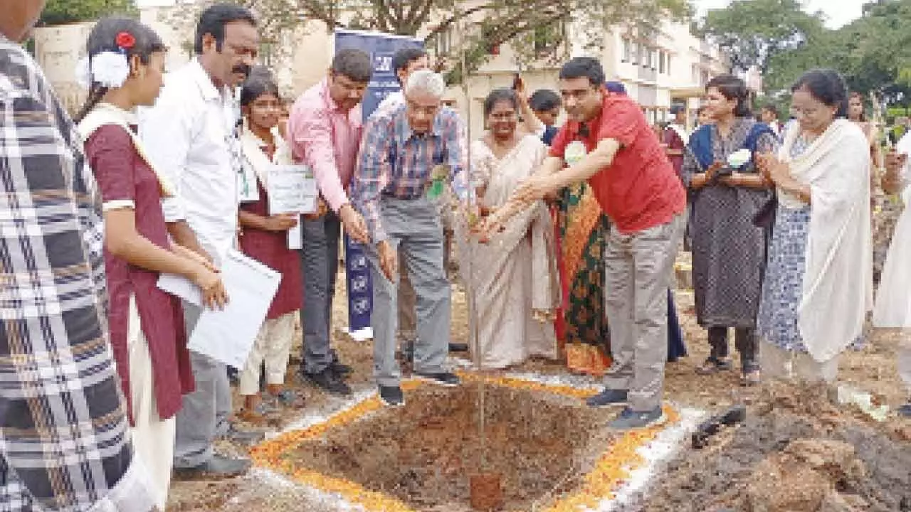 Plantation drive in Wyra constituency Plantation drive in Wyra constituency