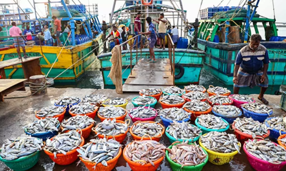 Identifying state-specific species key to boost India’s seafood exports: Minister Identifying state-specific species key to boost India’s seafood exports: Minister