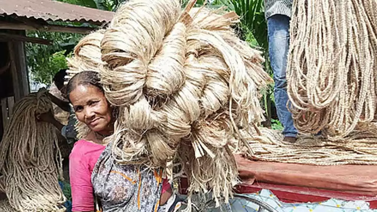 India bans imports of more goods from Bangladesh India bans imports of more goods from Bangladesh