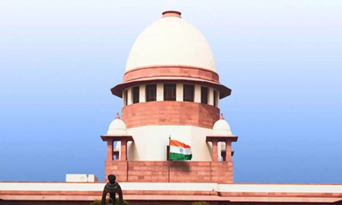 SC issues fresh directive to tackle stray dog menace within its premises SC issues fresh directive to tackle stray dog menace within its premises