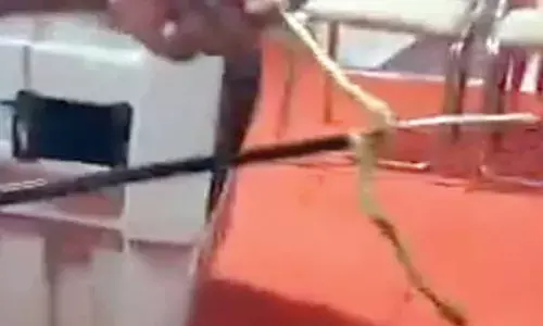 Snake rescued from grievance cell