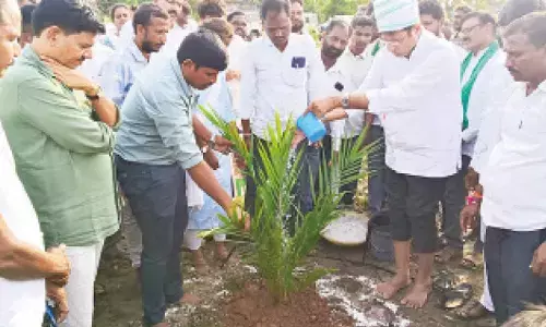 Sridhar Babu stresses on palm oil cultivation