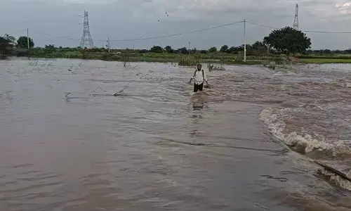 Heavy rains lash Banaganapalle constituency; low-lying areas inundated