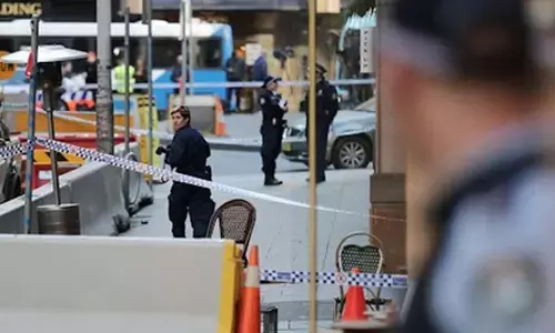 Man charged over alleged stabbing of two neighborus in Sydney