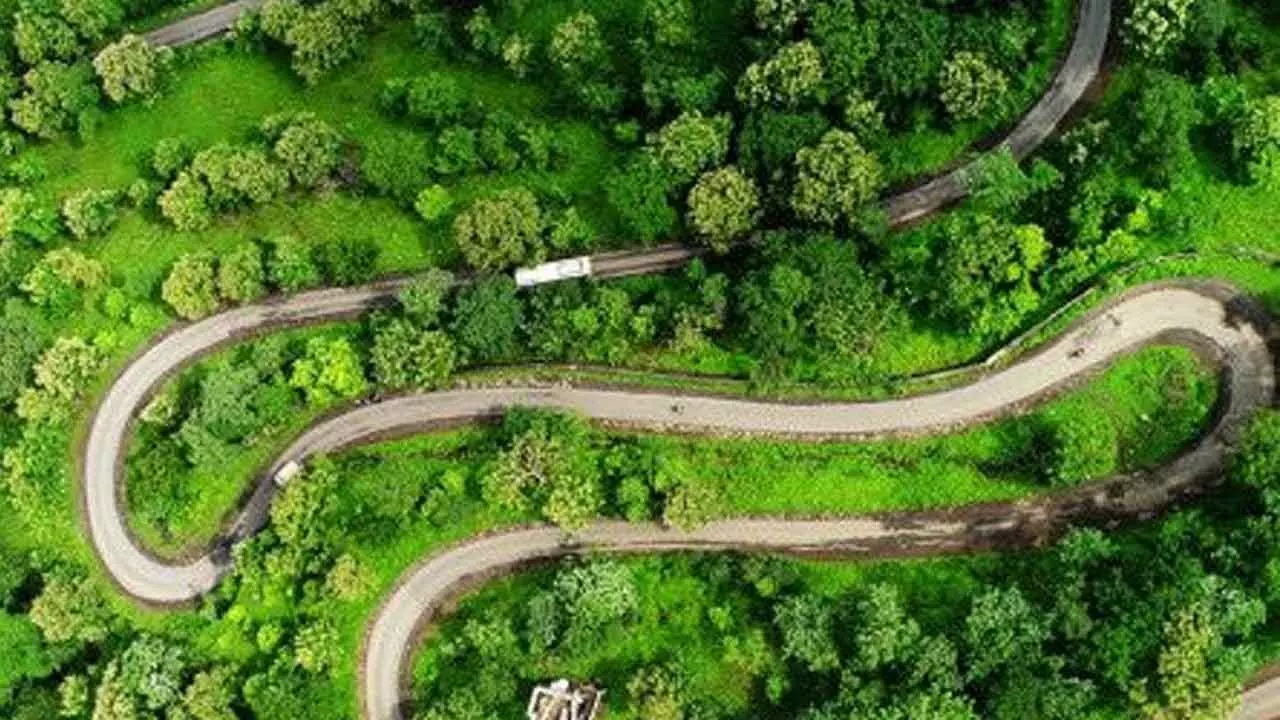 TG to line up exotic eco-tourism projects