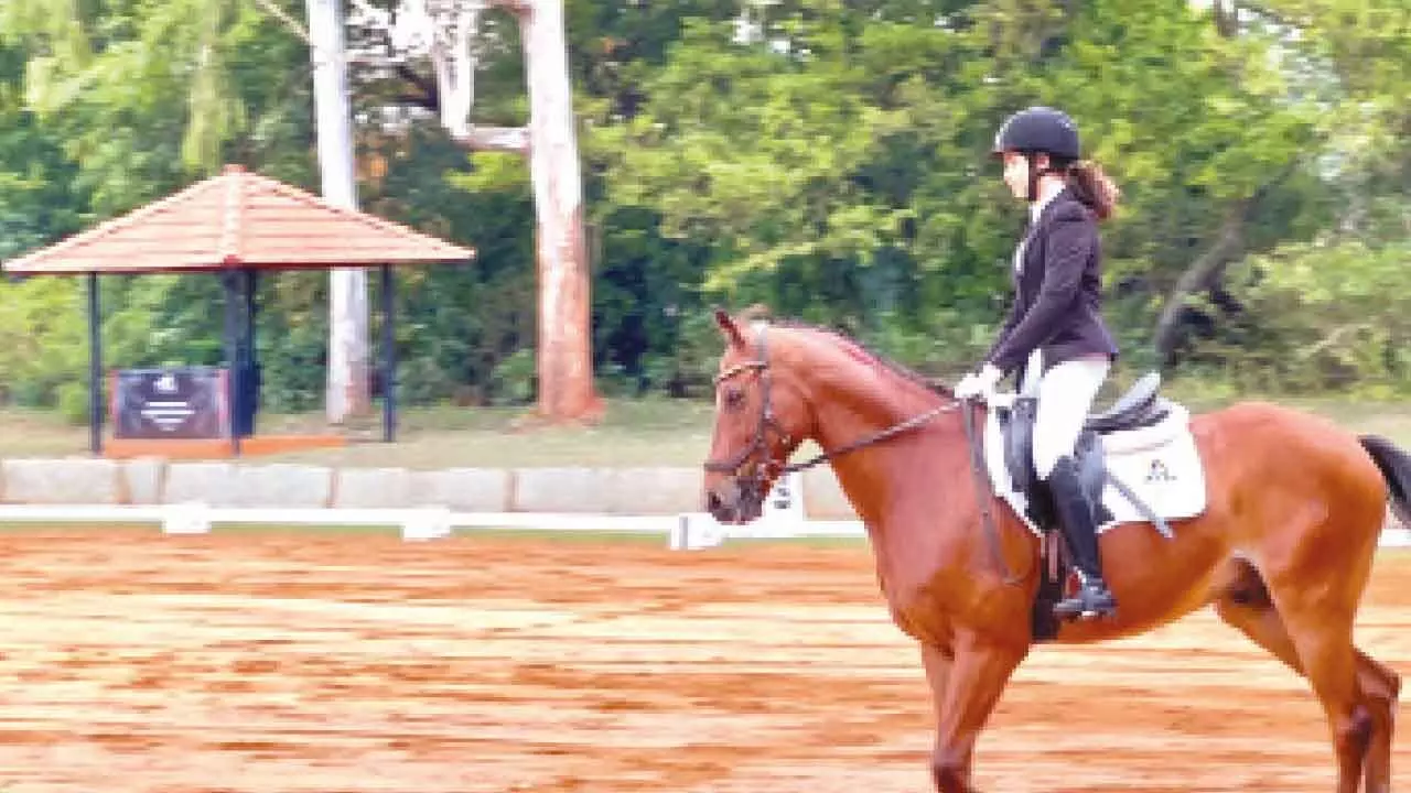 Young equestrian rides to glory Young equestrian rides to glory