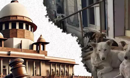 SC orders safe food waste disposal to curb stray dogs in court premises