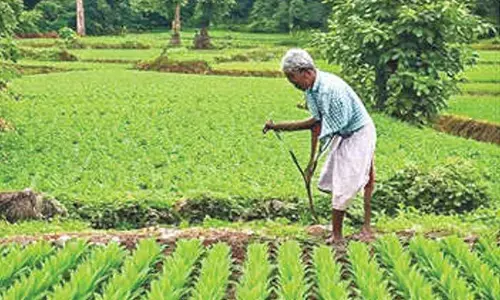 Over 37,000 farmers enrolled for natural farming in AP: Centre