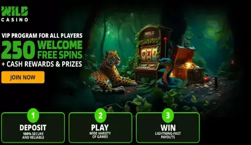 Wild Casino Offers A No Deposit Bonus Casino Experience Like No Other: Top Free Spin No Deposit Casino 2025