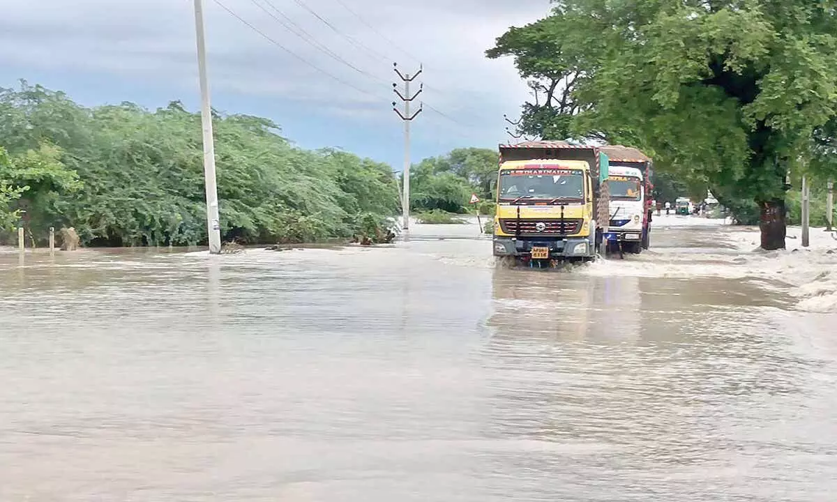 Punjab Floods 2025: 29 Dead, 2.5 Lakh Affected, Over 1,000 Villages Flooded