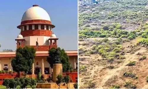 Restore green cover at Kancha Gachibowli: SC