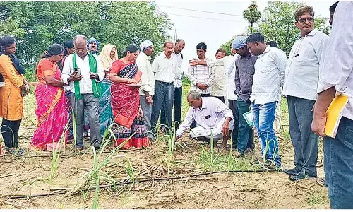 Natural farming skills shared at RASS