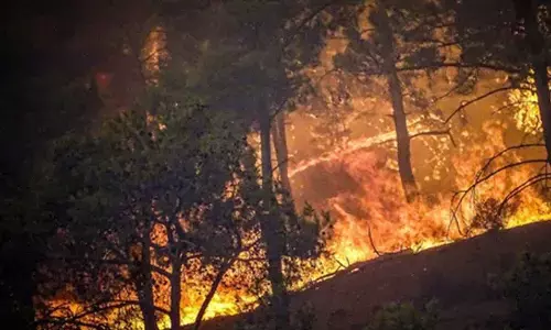 Europe wildfires double average as extreme risk expected into September