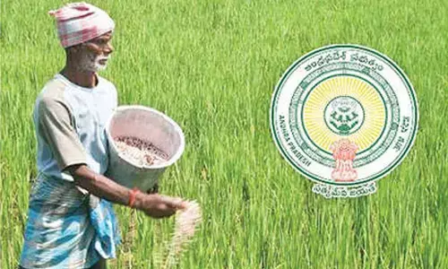 Annadatha Sukhibhava funds deposited for 2.5L farmers