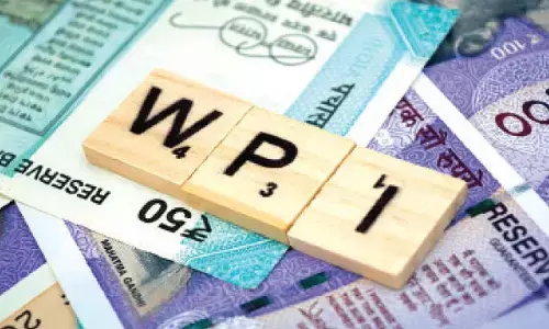 WPI inflation hovering in negative zone