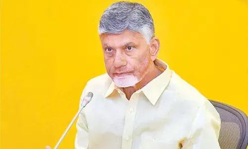 AP targets 8% revenue growth