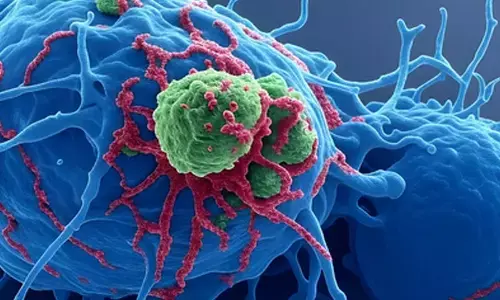 Immunotherapy drug shows promise against aggressive cancers