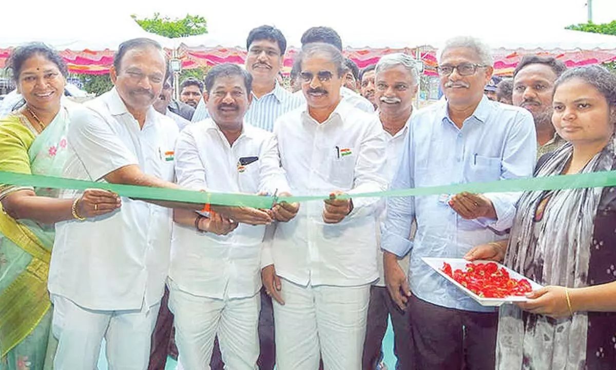 Ongole book festival inaugurated