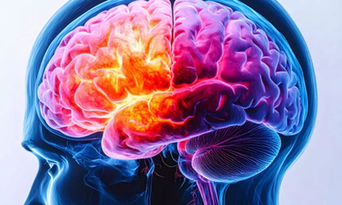 UK study identifies 8 new schizophrenia genes UK study identifies 8 new schizophrenia genes