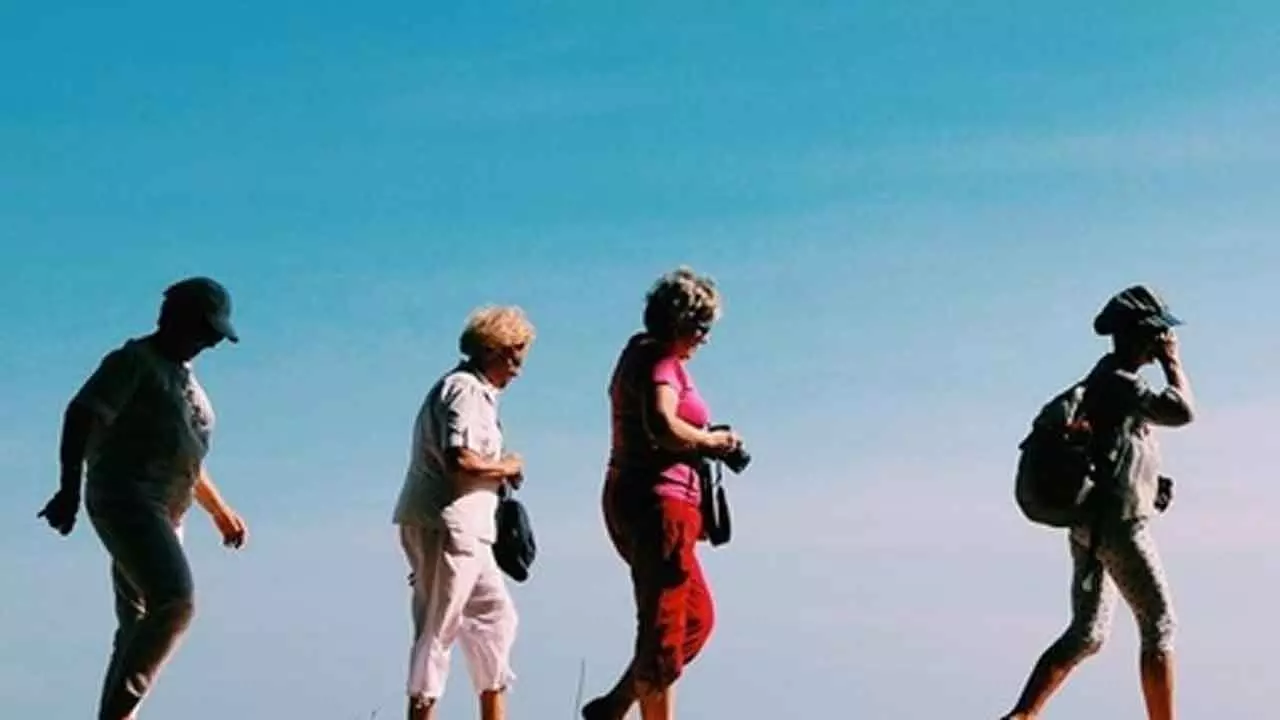 India’s tourism sector projected to generate over $59 billion by 2028: Report India’s tourism sector projected to generate over $59 billion by 2028: Report