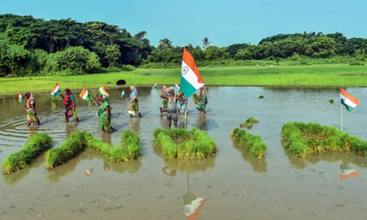 Over 25 crore Soil Health Cards distributed to farmers, Rs 1,706 crore released for scheme Over 25 crore Soil Health Cards distributed to farmers, Rs 1,706 crore released for scheme