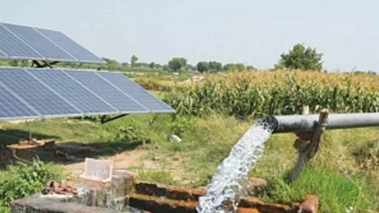 Pakistan: Farmers in Balochistan criticise govt for not providing funds for solarisation