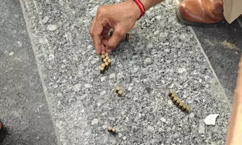 Gunmen fire several rounds at YouTuber Elvish Yadavs Gurugram home