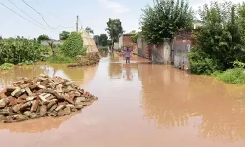 14,200 acres in Punjab hit by floodwaters, says minister