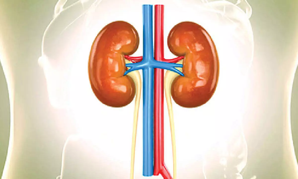 Scientists find biological signals to predict course of chronic kidney disease Scientists find biological signals to predict course of chronic kidney disease