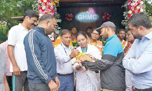 Pet lovers in city bring home new furry friend