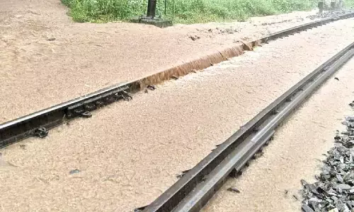 Tree collapse, multiple landslides halts road, rail links