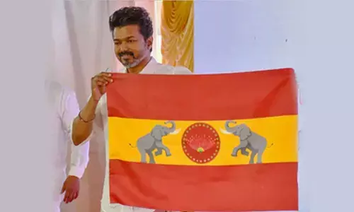 Madras HC refuses to grant injunction to restrain Vijay’s TVK from using flag