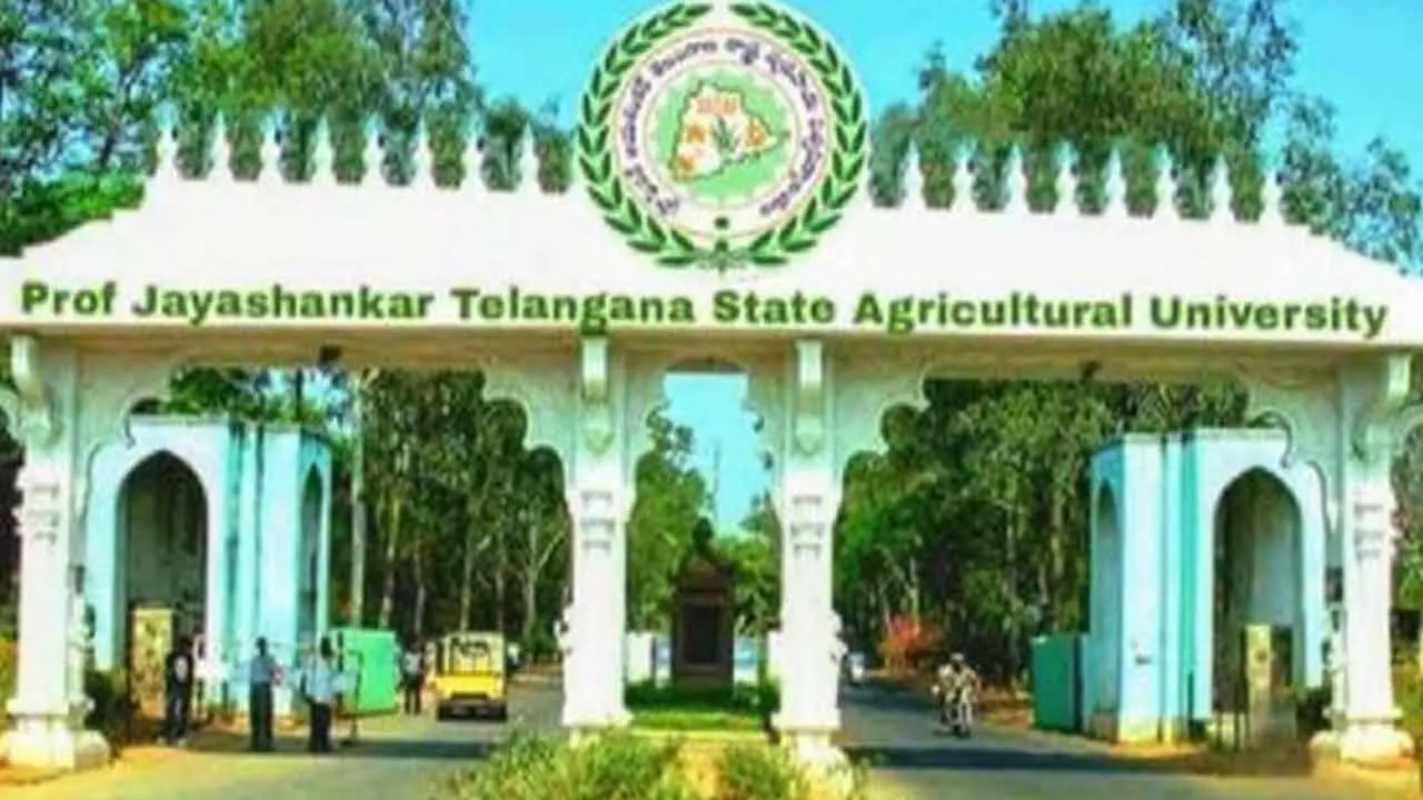 PJTAU begins counselling for dual degree agriculture programme PJTAU begins counselling for dual degree agriculture programme