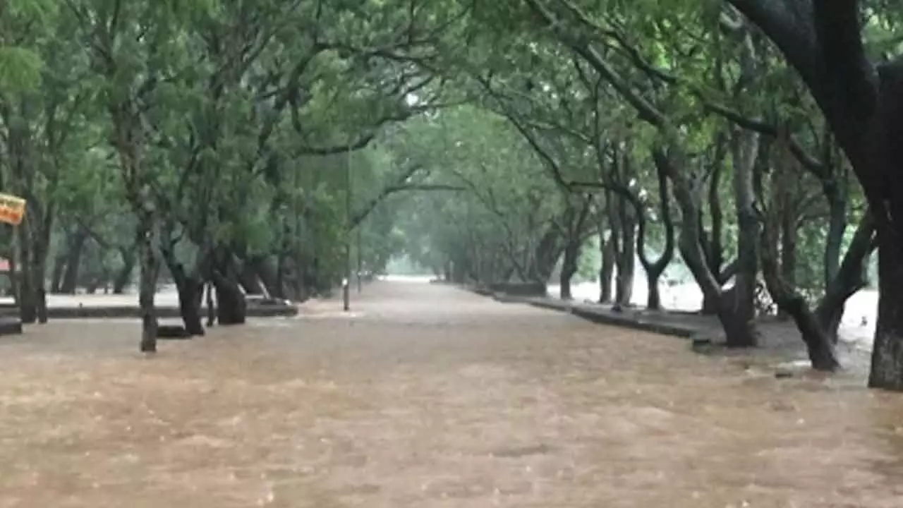 Mumbais Mithi River crosses danger mark; beaches closed amid heavy rain, high tide