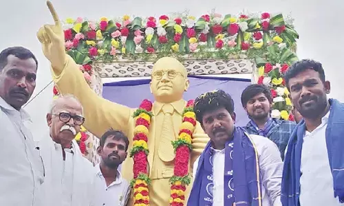 Ambedkar statue unveiled in Garimekalapalli