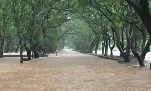 Mumbais Mithi River crosses danger mark; beaches closed amid heavy rain, high tide